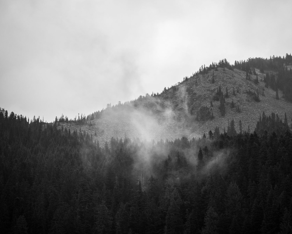 fog in the trees above Olallie Lake