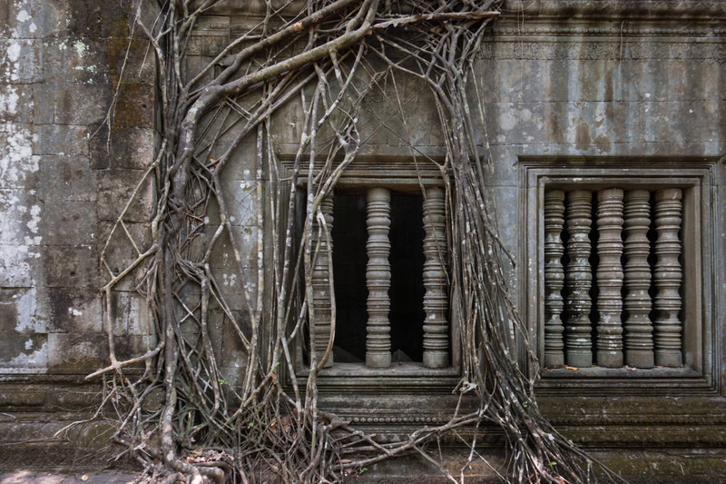 window in a wall covered by roots