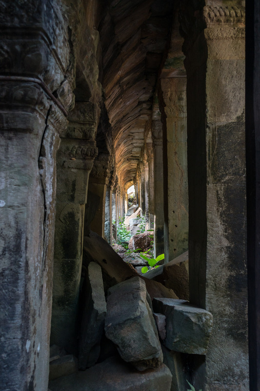 rubble and plants in a corridor