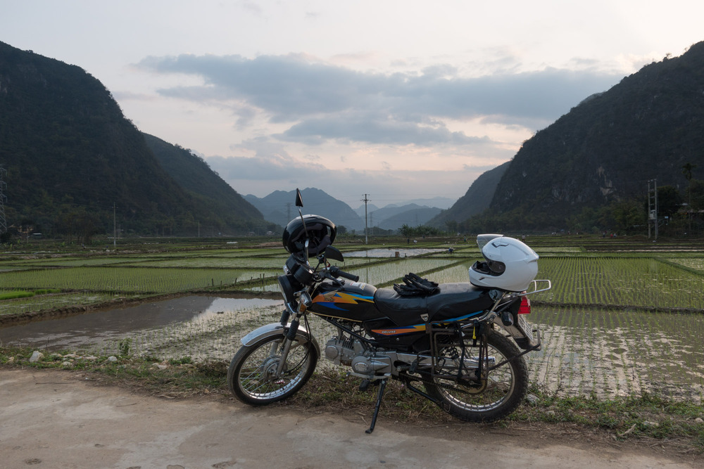 motorbike in front of rice paddies