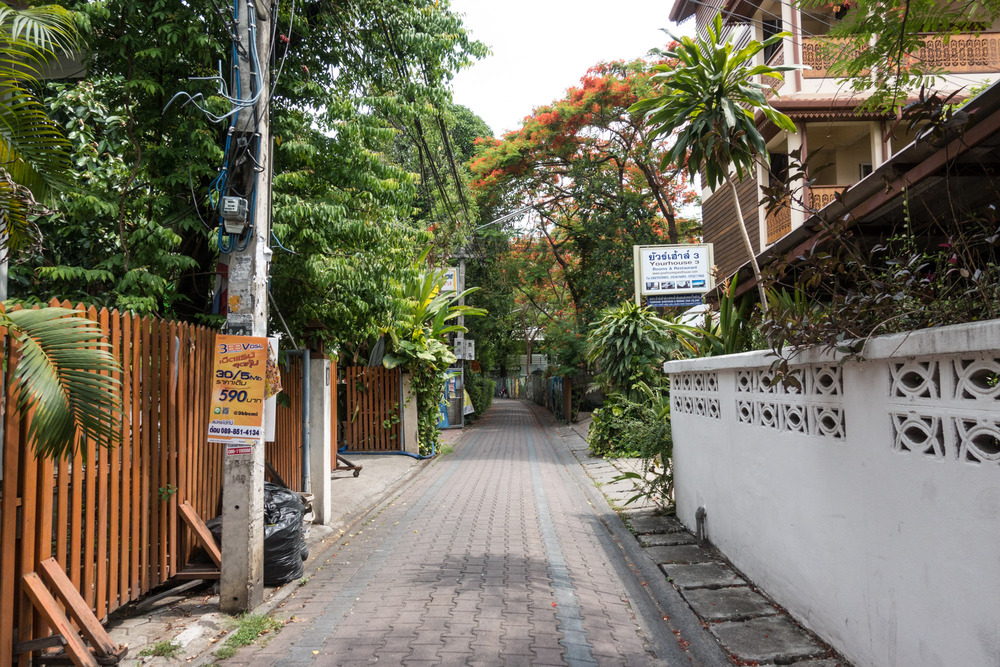 alley between houses