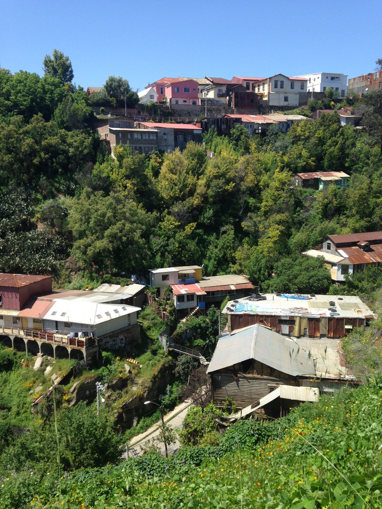 trees and houses in a valley