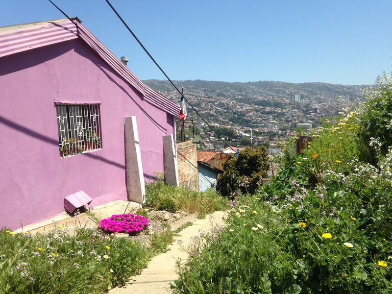 pink house