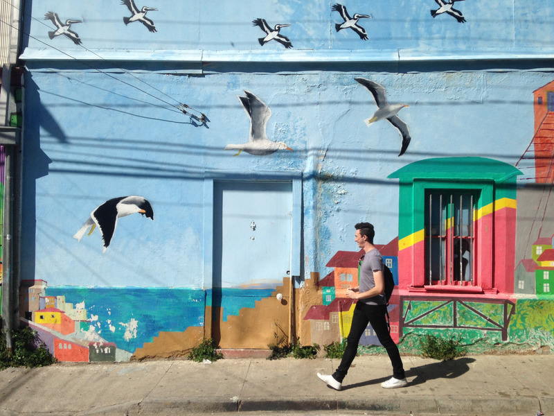 Jake walking in front of a wall of seagulls