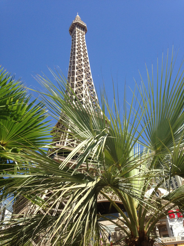 the Eiffel Tower at the Paris