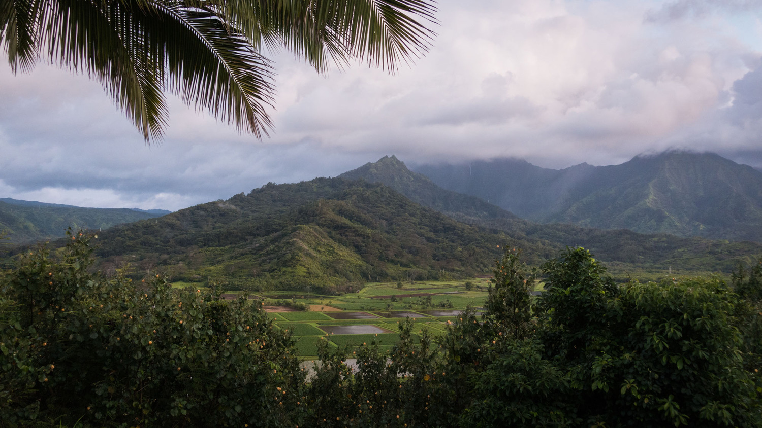 Hanalei Valley