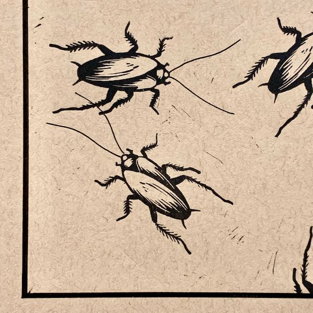 A closeup view of cockroaches in the print. The bodies and legs of the cockroach are printed; the antenae are hand-drawn.