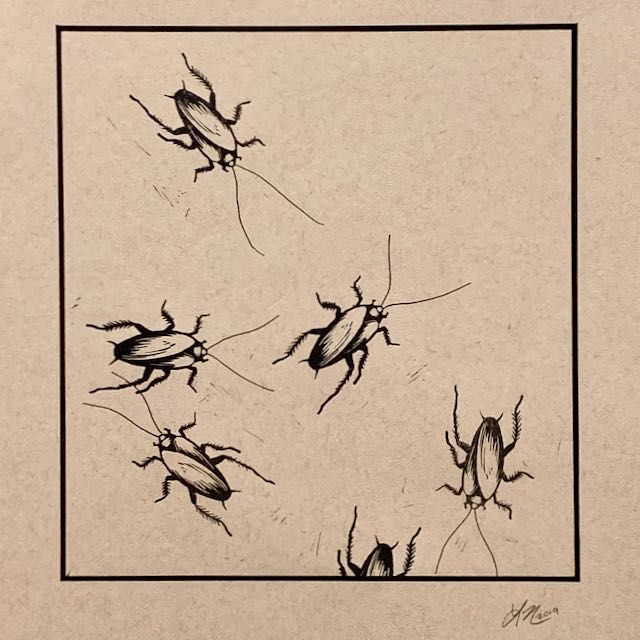 A brown print of 6 cockroaches scuttling across a square.