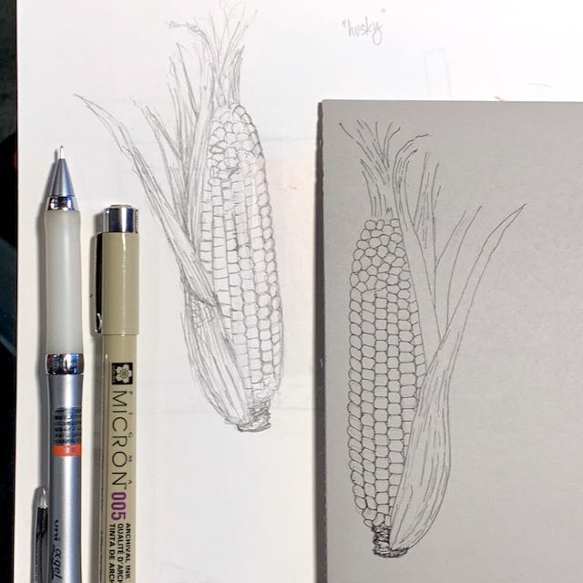 A pencil sketch and the mirror image of that sketch transferred onto a flat sheet of grey linoleum. Both depict a cob of corn with husk partially peeled back.