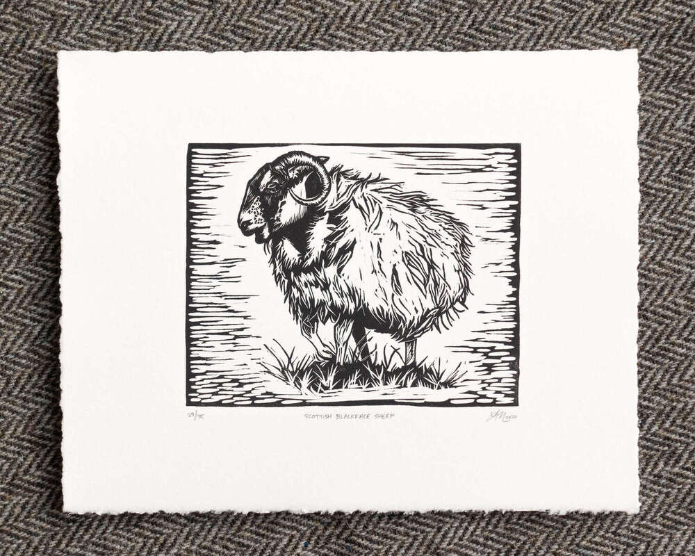 A black and white sheep looks left. The sheep is depicted within a black border, and the image is printed on white rectangular paper.