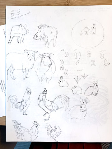 A white sketchbook page filled with preliminary pencil sketches of boar, sheep, roosters, rabbits, and animal tracks.