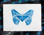 A blue butterfly printed on white paper, sitting on top of rumpled black and blue fabric. The print is signed 'Folded Lepidoptera' in the bottom left corner, and 'L. Nishizaki 2021' in the bottom right corner. The butterfly looks like an x-ray image of an origami butterfly.