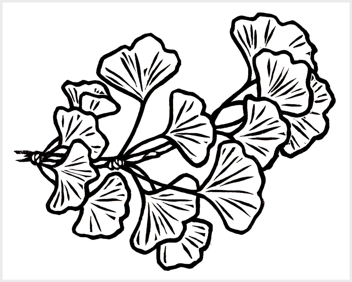 Black and white blockprinted ginkgo branch