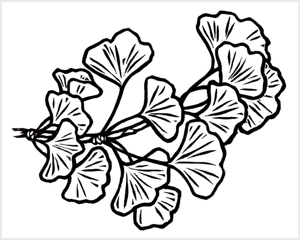 Black and white blockprinted ginkgo branch