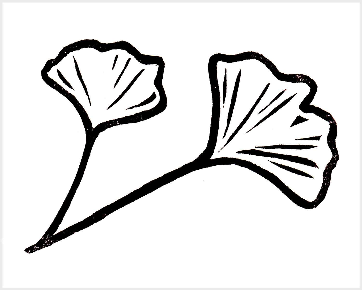 Black and white blockprinted ginkgo leaves