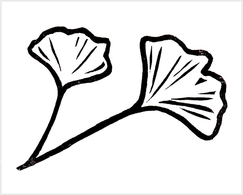 Black and white blockprinted ginkgo leaves