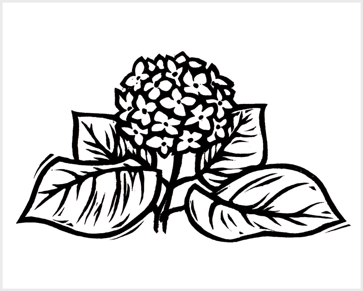 Black and white blockprinted hydrangea flower