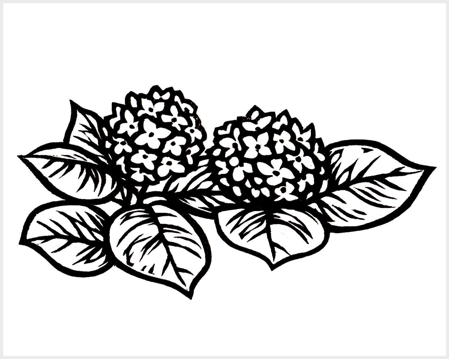 Black and white blockprinted hydrangea flowers