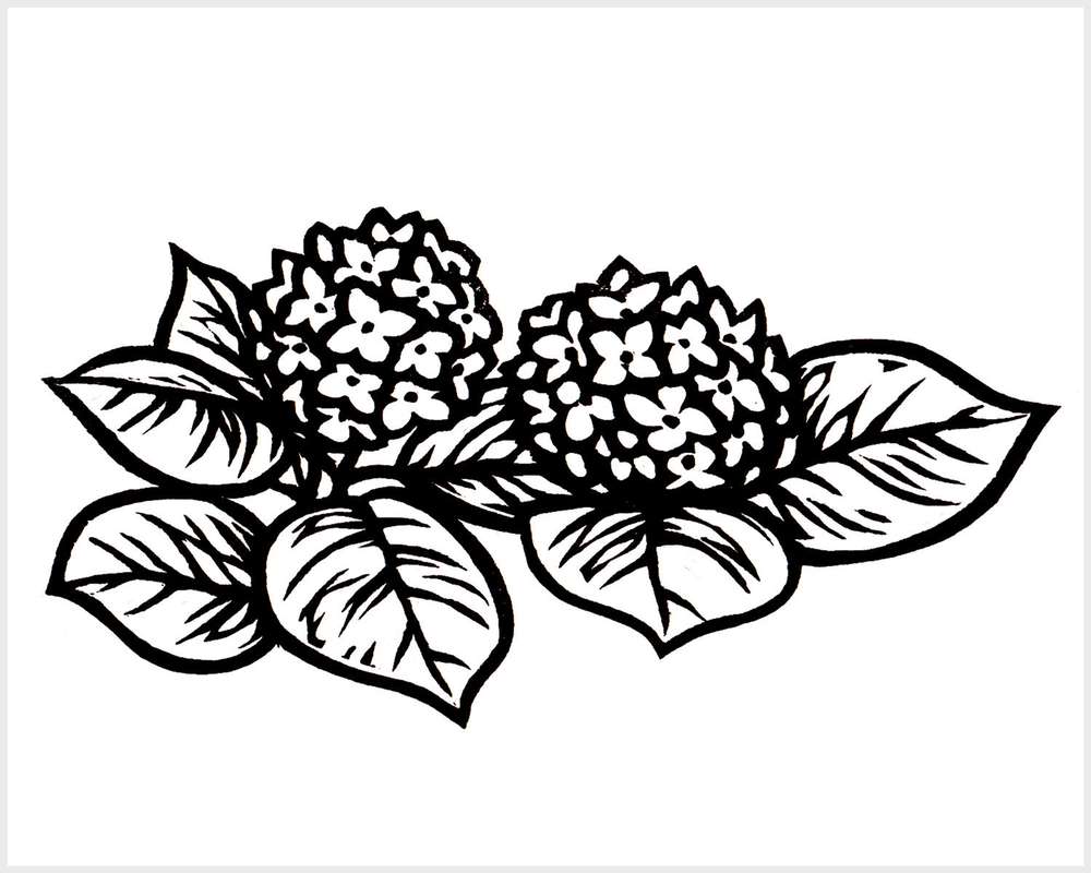 Black and white blockprinted hydrangea flowers
