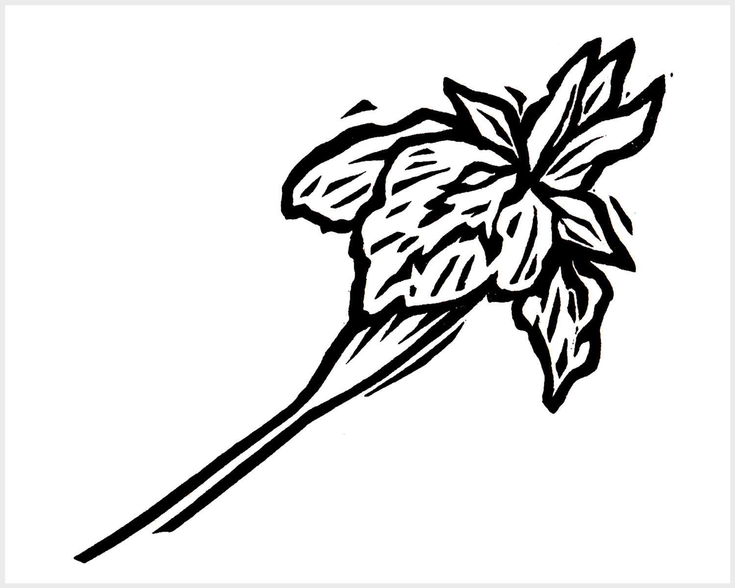 Black and white blockprinted iris flower