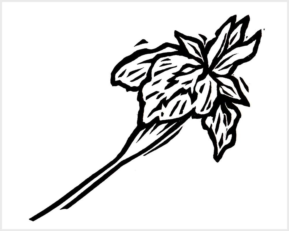 Black and white blockprinted iris flower
