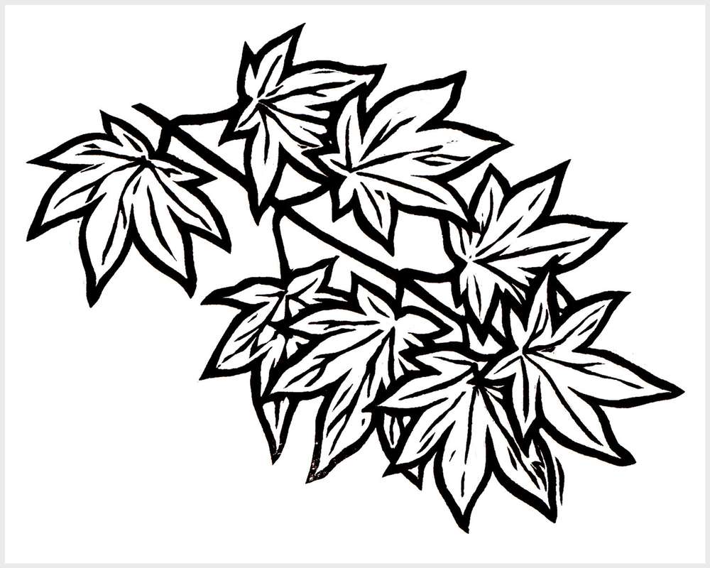 Black and white blockprinted Japanese maple branch