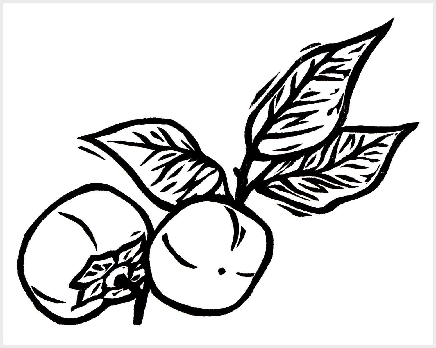 Black and white blockprinted persimmon branch