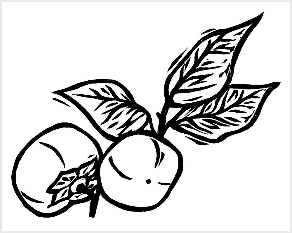 Black and white blockprinted persimmon branch