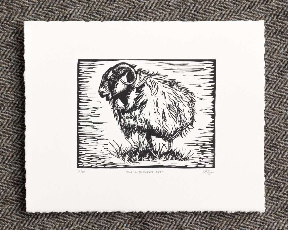 A print of a black and white sheep standing on grass within a black border, printed on white paper; the background of the scene has horizontal chatter (ink streaks).