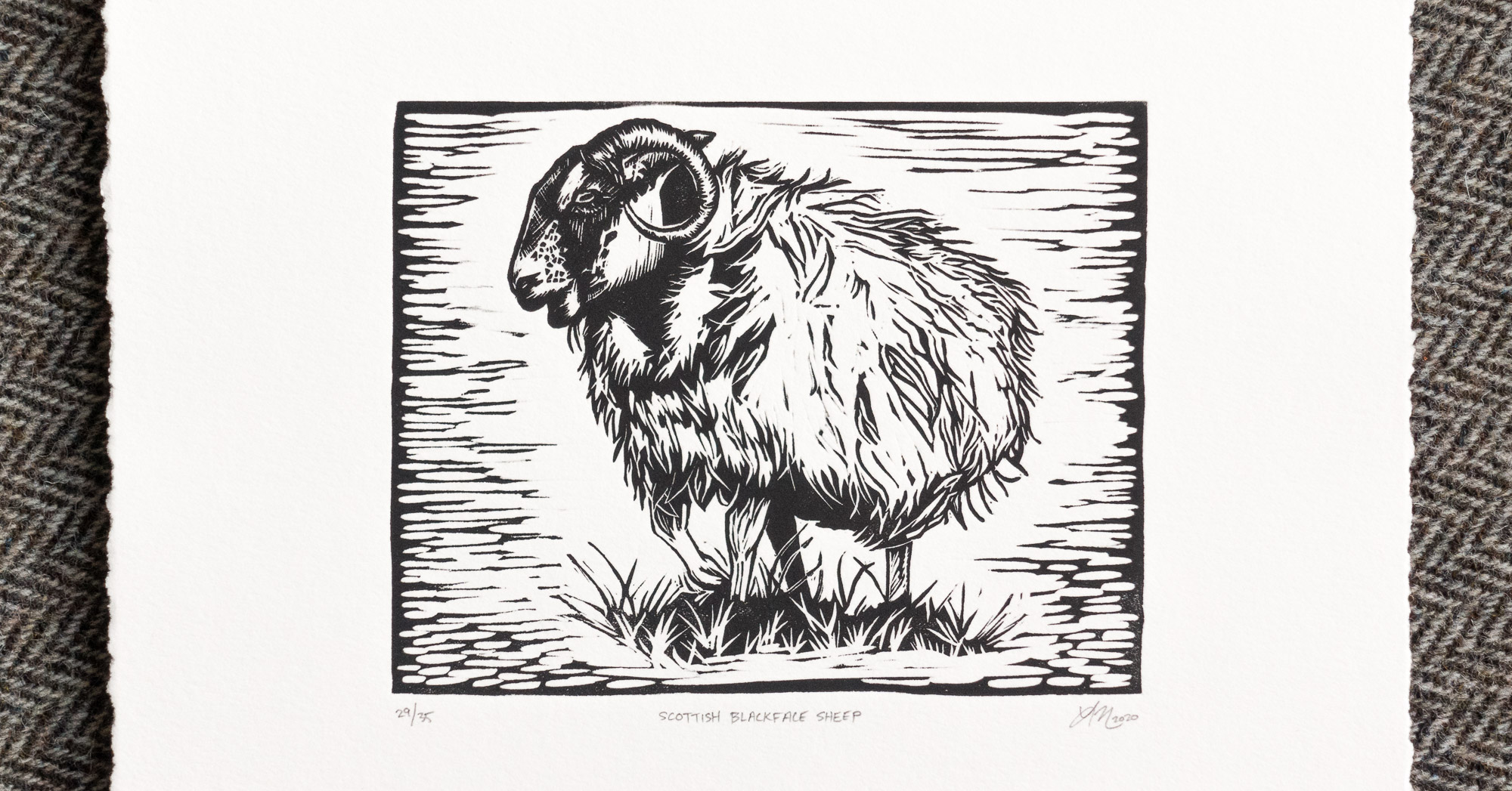 Scottish Blackface Sheep | Lauren Nishizaki Designs