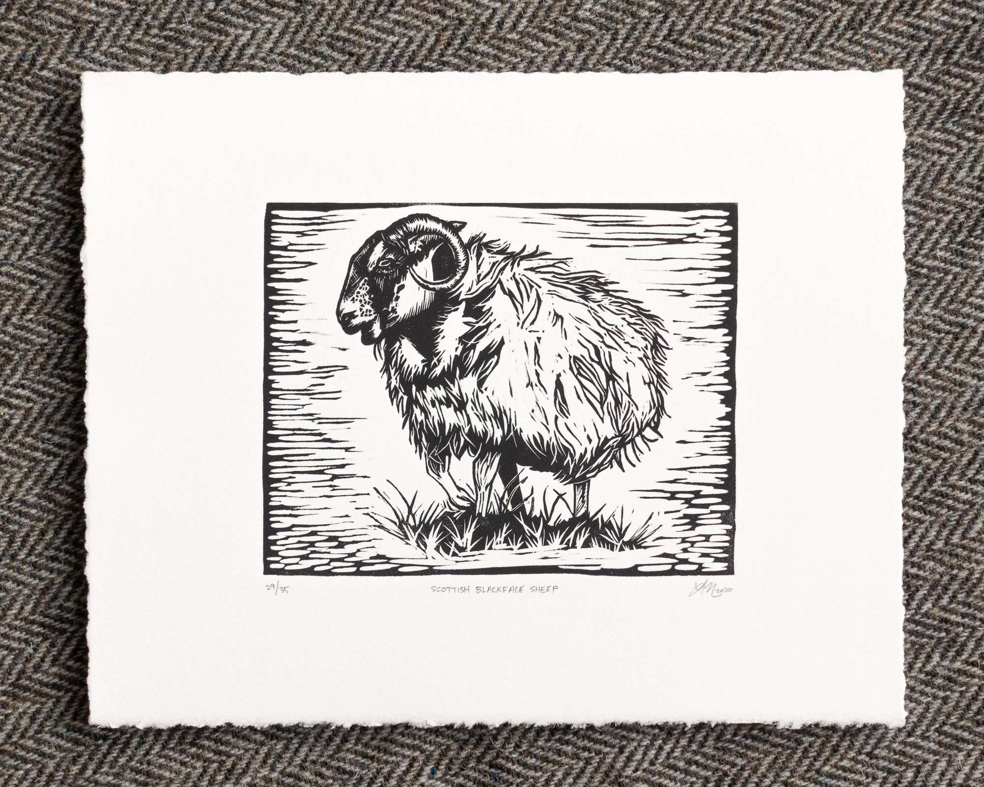 A print of a black and white sheep standing on grass within a black border, printed on white paper; the background of the scene has horizontal chatter (ink streaks).