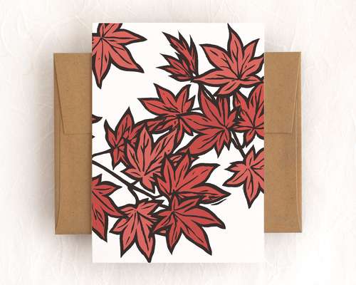 Link to 'Japanese Maple'