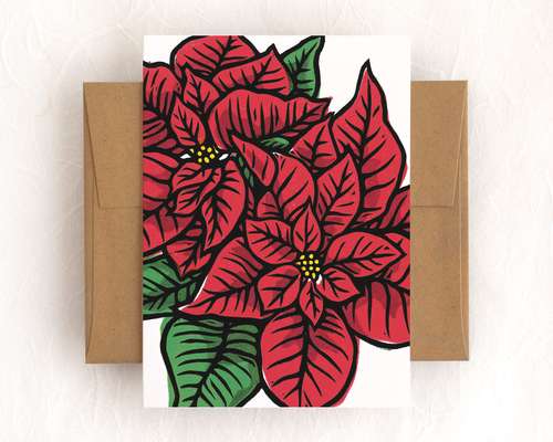 Link to 'Poinsettia'
