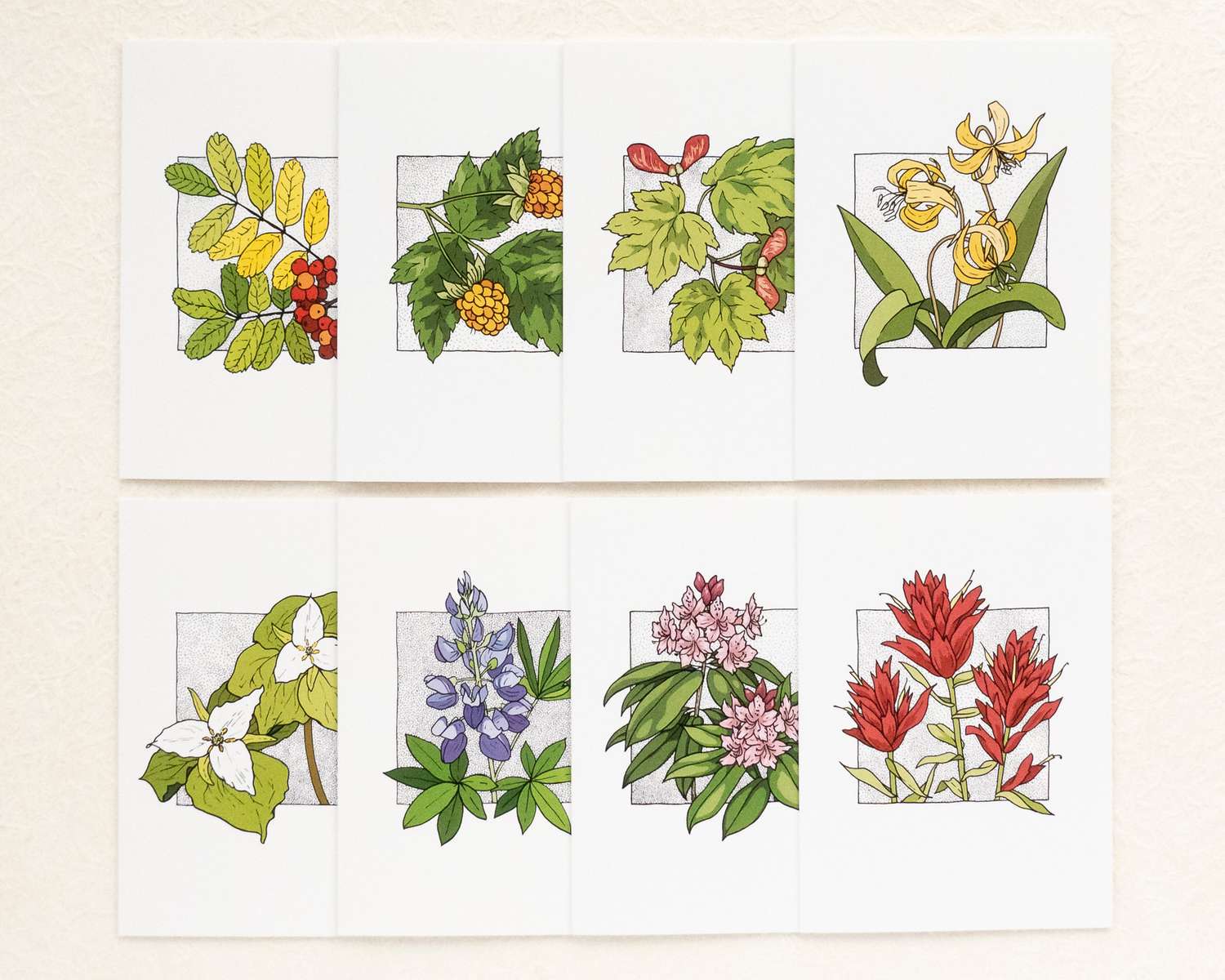 a 2x4 grid of vertical white cards with colorful flowers and plants